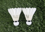 九游中国-法国羽毛球队碾压印度羽毛球队，林丹惊艳世界