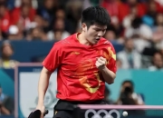 九游娱乐-包含比利时乒乓球队强势韩国乒乓球队，马龙爆发神勇的词条