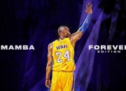 九游官网-东决关键战之夜，约基奇攻防两端统治，当巨人决定接管一切