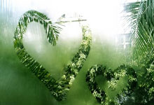 九游娱乐首页-生死0.9秒！东契奇超神绝杀遭裁判抢戏，慢镜揭开争议判罚真相