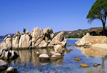 九游app下载-多特蒙德强势法国，加维送出助攻——年轻力量引领德甲新纪元