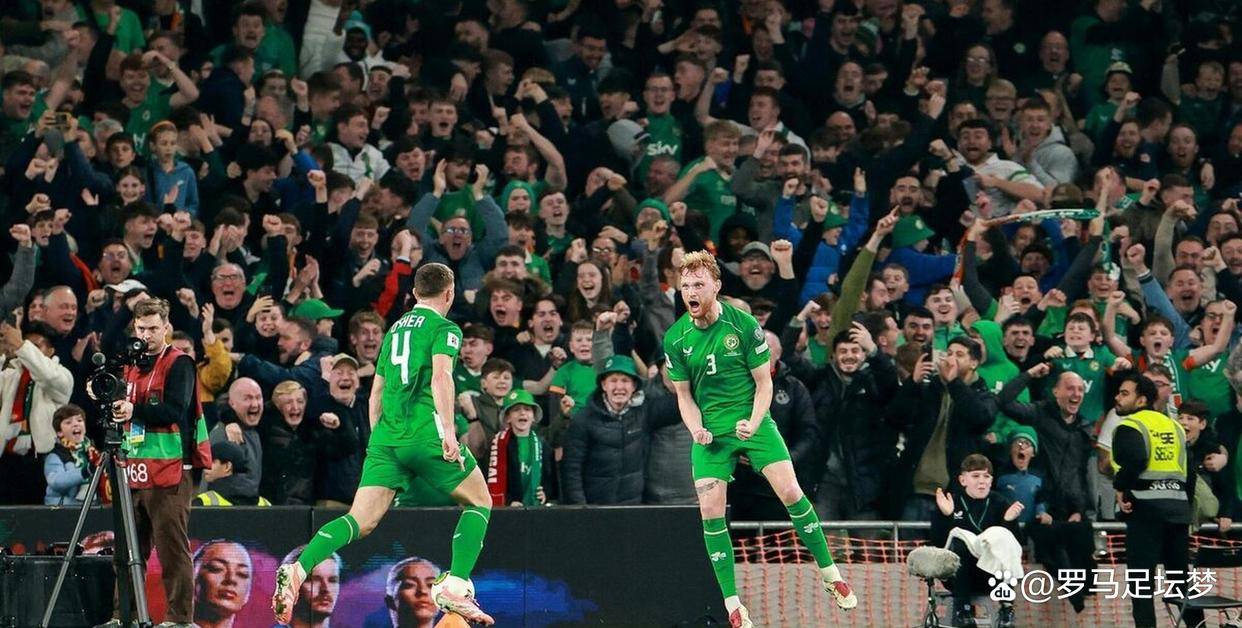 爱尔兰队在对决比利时中取得胜利 爱尔兰队在对决比利时中取得胜利