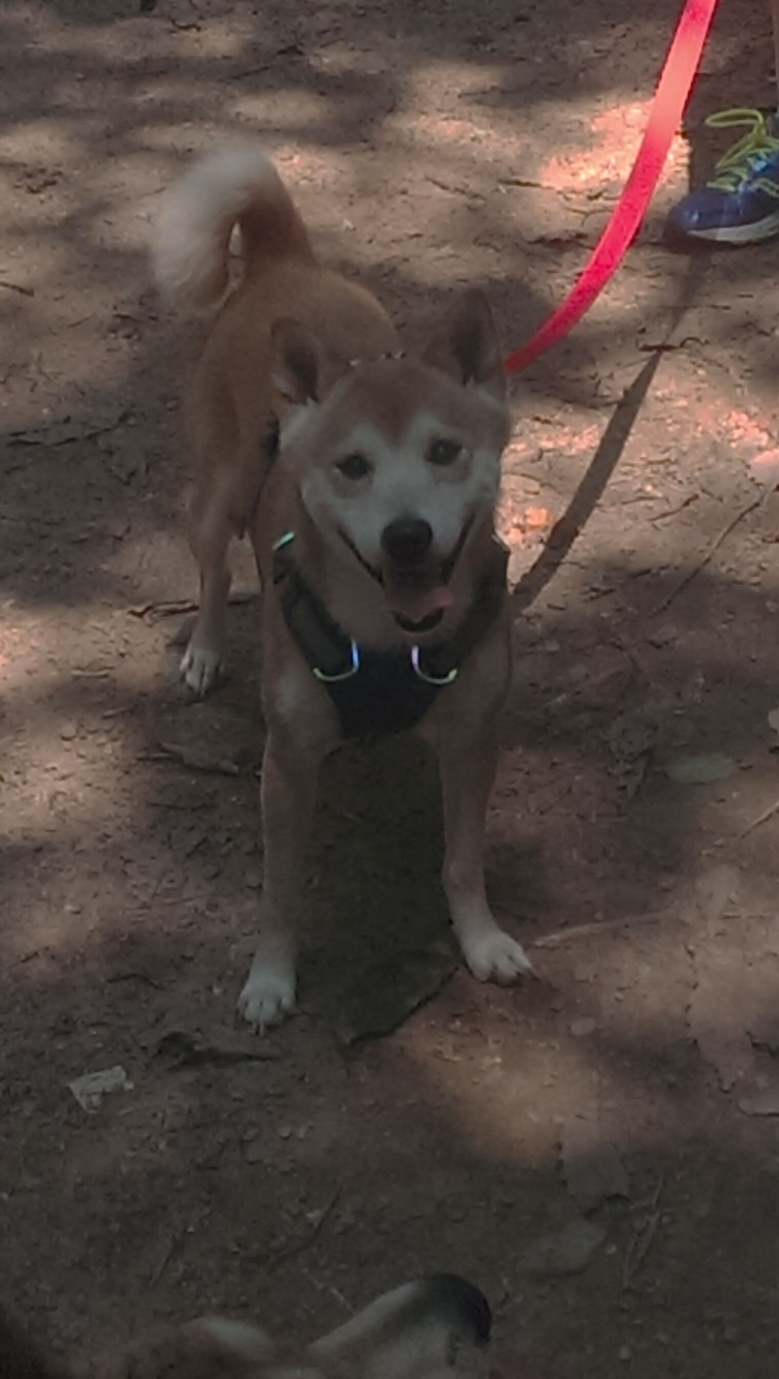 欧冠淘汰赛焦点战，切尔西全面压制，战术革新打穿尤文图斯