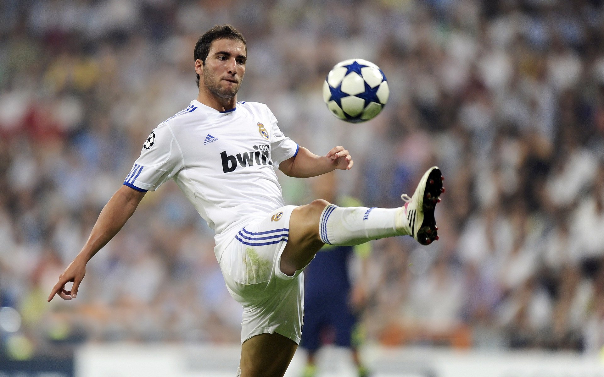 南半球风暴席卷非洲雄狮，新西兰火力全开，西决生死战上演跨洲际压制