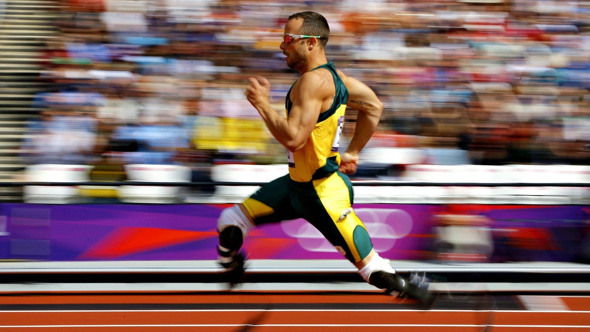 当广厦遭遇公牛，欧冠半决赛的东方隐喻与篮球宇宙的交汇